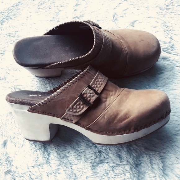 toms elisa clog